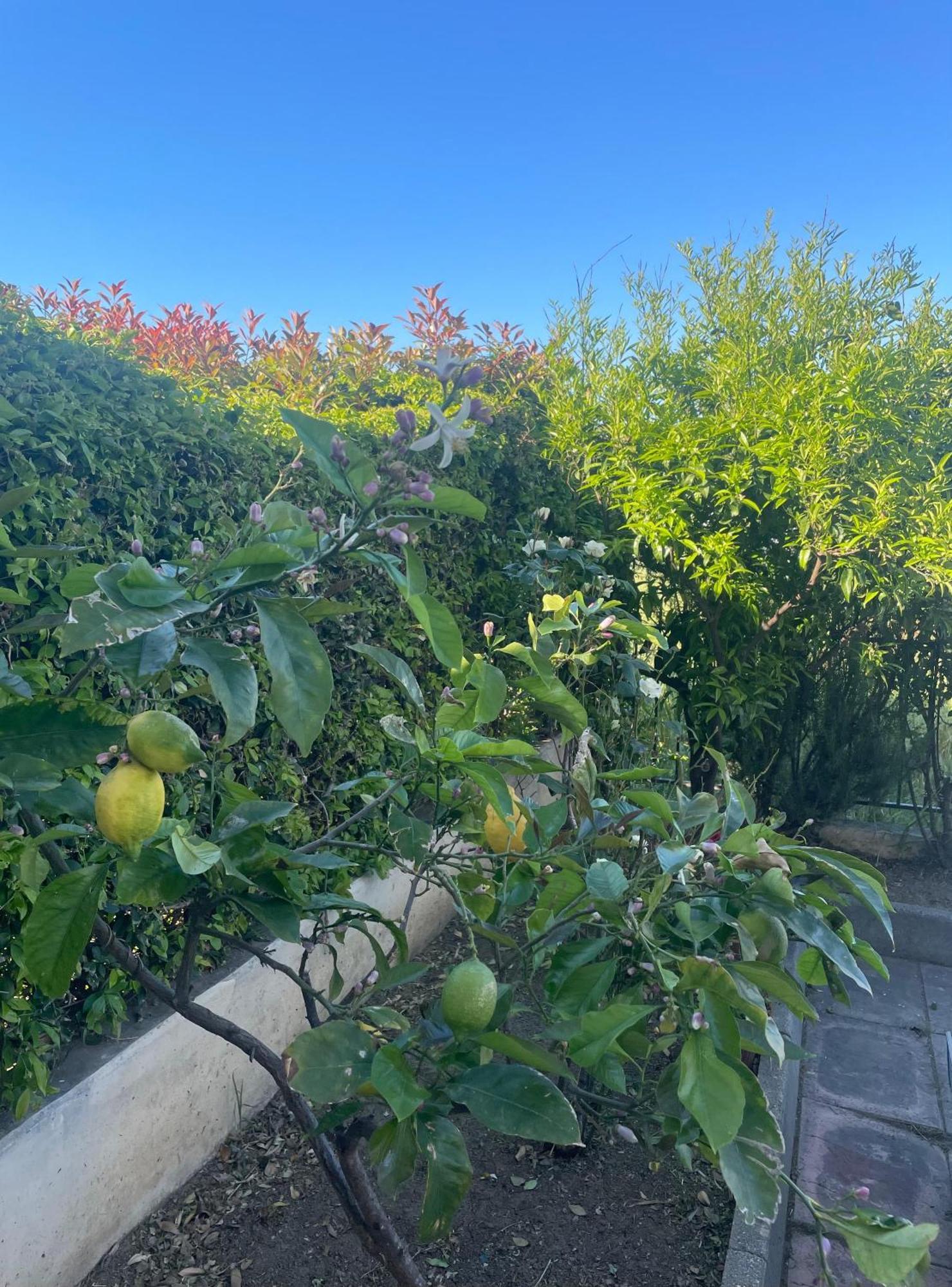 Casa Con Giardino A Pochi Passi Dalla Apartamento